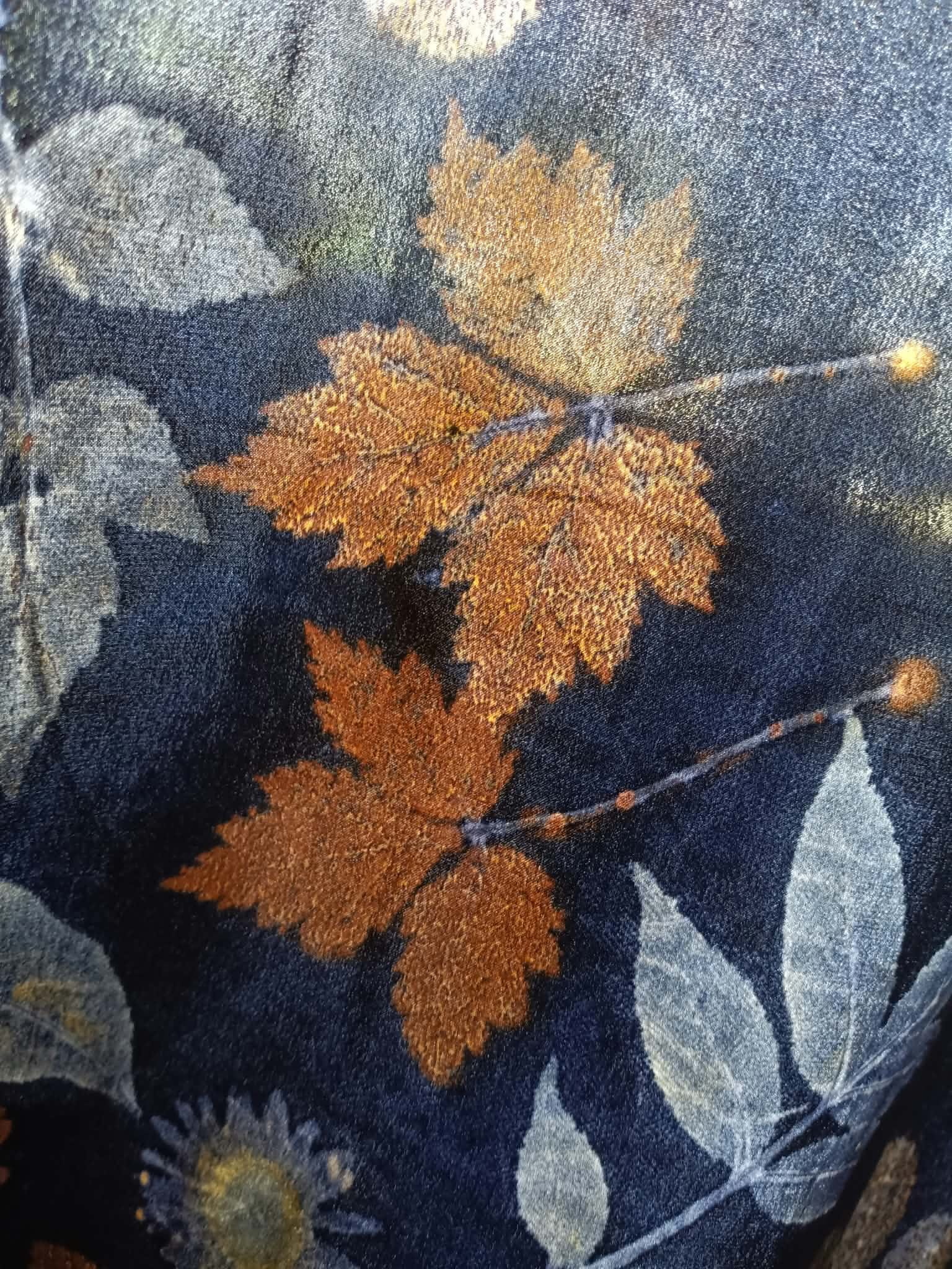 rocky mountain maple