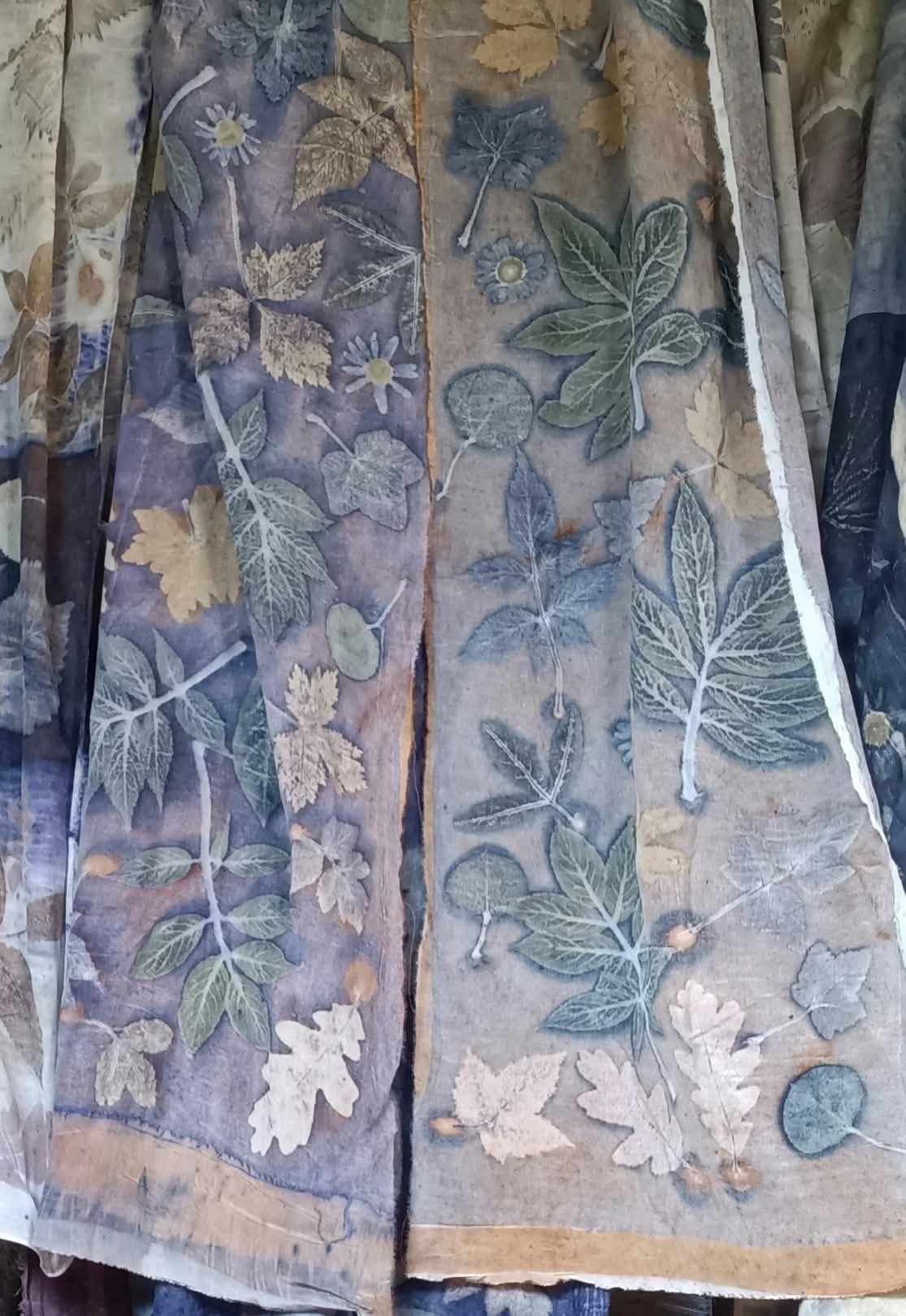 mountain leaves