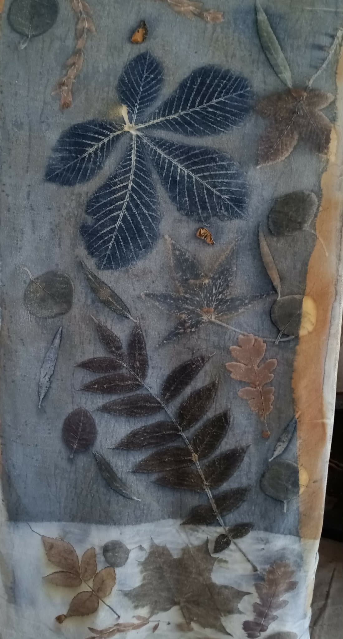 Eco-printed scarves, clothing and more